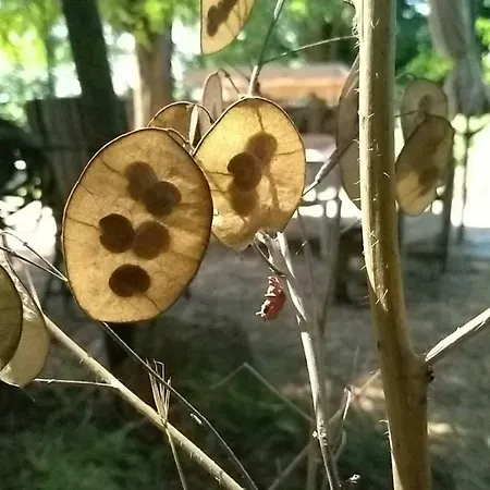Campeggio Agricampeggio Yuptala Soianella