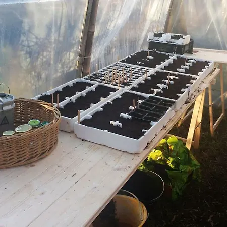 Agricampeggio Yuptala *
