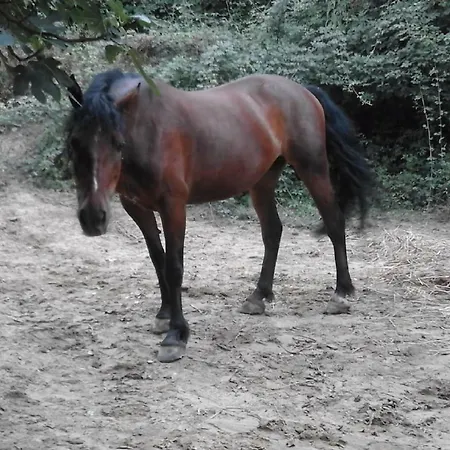 Agricampeggio Yuptala